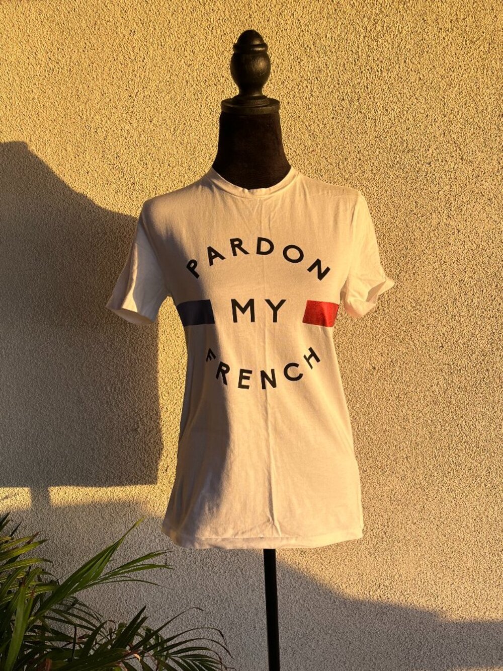 Pardon my french être cécile T